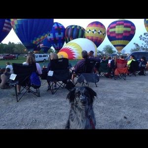 Meet your Posher, Robyn